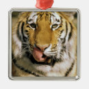 Pesquisar por detroit ornamentos América do norte