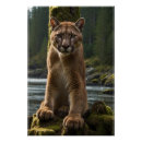 Pesquisar por felino pósteres pôsteres Puma