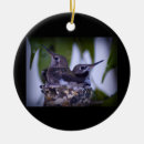 Pesquisar por colibris ornamentos Feriado