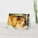 Pesquisar por golden retriever cartoes Animals