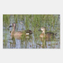 Pesquisar por pantanal adesivos Pássaro