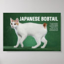 Pesquisar por posters japoneses pósteres pôsteres Gatinho