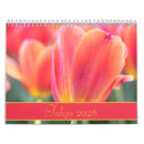 Pesquisar por tulipa calendarios Natureza