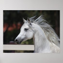 Pesquisar por manga pôsteres Cavalo
