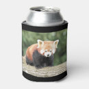 Pesquisar por panda armazenamento alimentos Kawaii