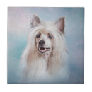 Pesquisar por de creme azulejos Para eles