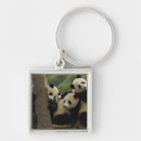 Pesquisar por oxford chaveiros Asia