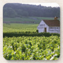 Pesquisar por vinhedo porta copos Videira