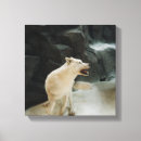 Pesquisar por guia impressão de canvas Cão