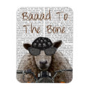 Pesquisar por osso imas Galo