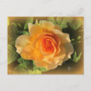 Pesquisar por perfume postais cartoes postais Floral