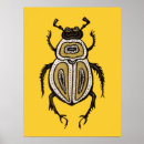 Pesquisar por besouros pósteres pôsteres Qualquer pessoa
