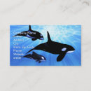 Pesquisar por assassino cartao de visita Baleia