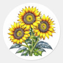 Pesquisar por ilustração romântica adesivos Floral