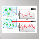 Pesquisar por poster física pôsteres Diagrama