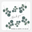 Pesquisar por armazenamento alimentos Botânica