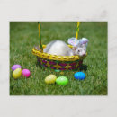 Pesquisar por easter egg cartoes postais Basket