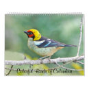 Pesquisar por aves canoras calendarios Pássaros