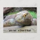 Pesquisar por dragao komodo cartoes postais Lagarto