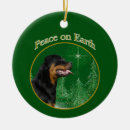 Pesquisar por podre ornamentos Natal