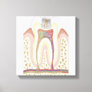 Pesquisar por médico impressão de canvas Empresa de pequeno porte