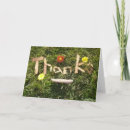 Pesquisar por bark cartoes Nature