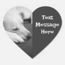 Pesquisar por pata branca cão adesivos Qualquer pessoa