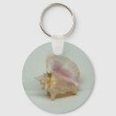 Pesquisar por conchas chaveiros Praia