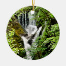 Pesquisar por cachoeira ornamentos Rural