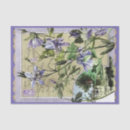 Pesquisar por malva papeis de seda Verde