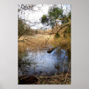 Pesquisar por natureza terra pôsteres Árvore