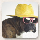 Pesquisar por do estranho porta copos Animal