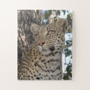 Pesquisar por leopardo quebra cabecas Gato