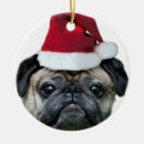 Pesquisar por pug natal ornamentos Cães