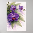 Pesquisar por orquídea roxa pôsteres Botânico