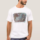 Pesquisar por sistine camisetas Fresco