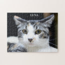 Pesquisar por gatos e gatinhos fotos quebra cabecas Qualquer pessoa