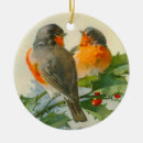 Pesquisar por europeu ornamentos European