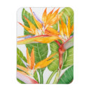 Pesquisar por flowers imas Floral