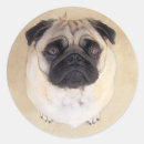 Pesquisar por selo do pug Cachorrinhos