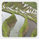 Pesquisar por terraço adesivos Paisagem