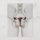 Pesquisar por órgãos reprodutivos cartoes postais Reprodução sexual