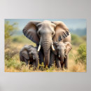 Pesquisar por elefante bonito pôsteres Qualquer pessoa