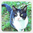 Pesquisar por gato preto bonito adesivos Branco
