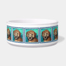 Pesquisar por wheatens Terrier