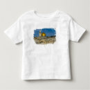 Pesquisar por jerusalém camisetas Hebraico