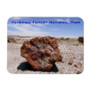 Pesquisar por floresta nacional Arizona