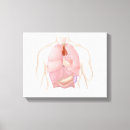 Pesquisar por pulmão impressão de canvas Detalhe