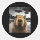 Pesquisar por selfie adesivos Família