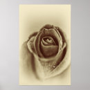 Pesquisar por o sepia aumentou Vintage